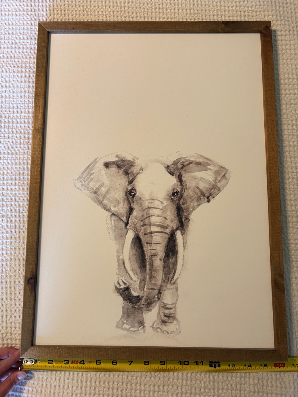 Framed Gray and White Elephant Wall Decor